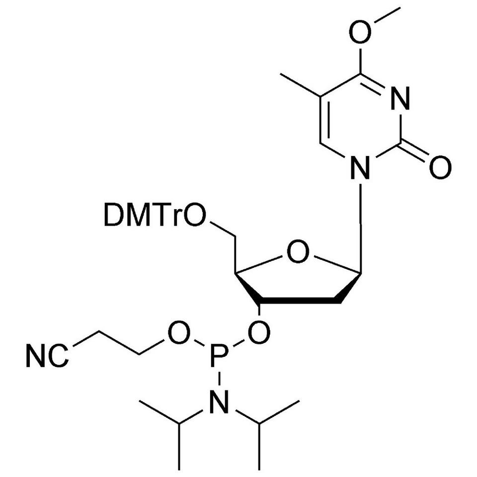 O4-Me-dT CE-Phosphoramidite, BULK (g), HDPE Screw-Top